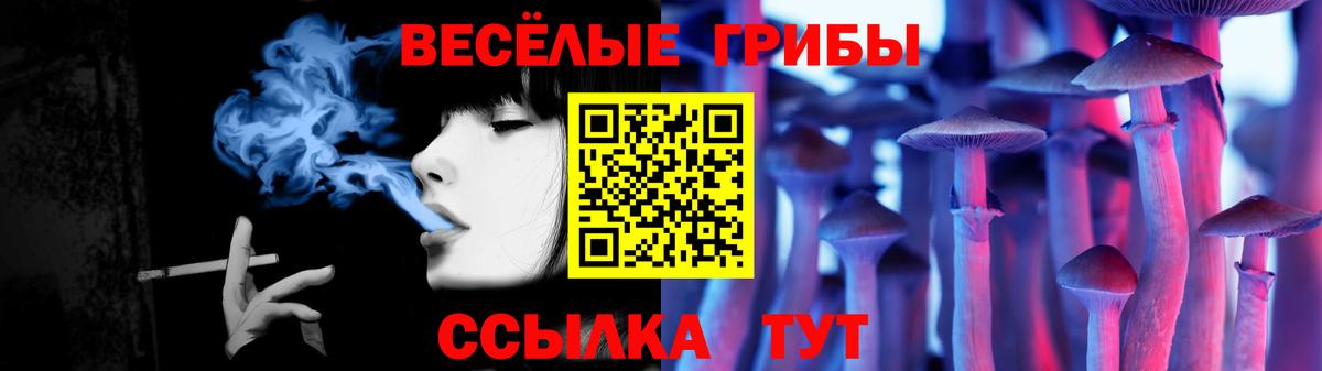 Галлюциногенные грибы Psilocybe Отрадное